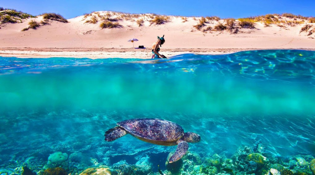 Ningaloo Reef, Western Australia, Australia
